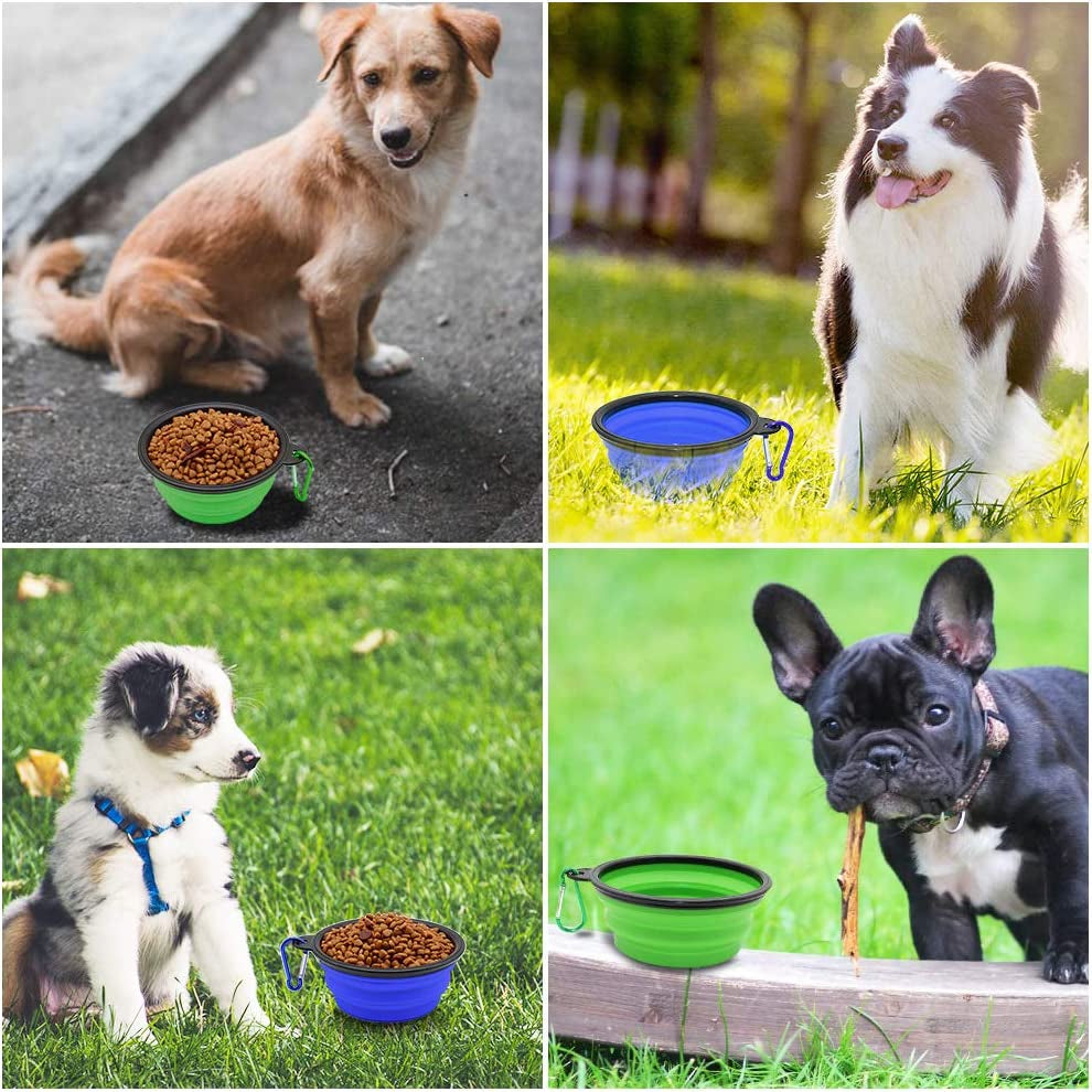 Collapsible Pet Bowls for Dogs and Cats, 2-Pack Portable Feeding and Watering Dishes with Carabiners (Small, Blue and Green)