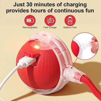 Interactive Automatic Electric Rolling Teaser Ball Toy with Rechargeable Motion Activation and Rope for Indoor Cats and Dogs, Red