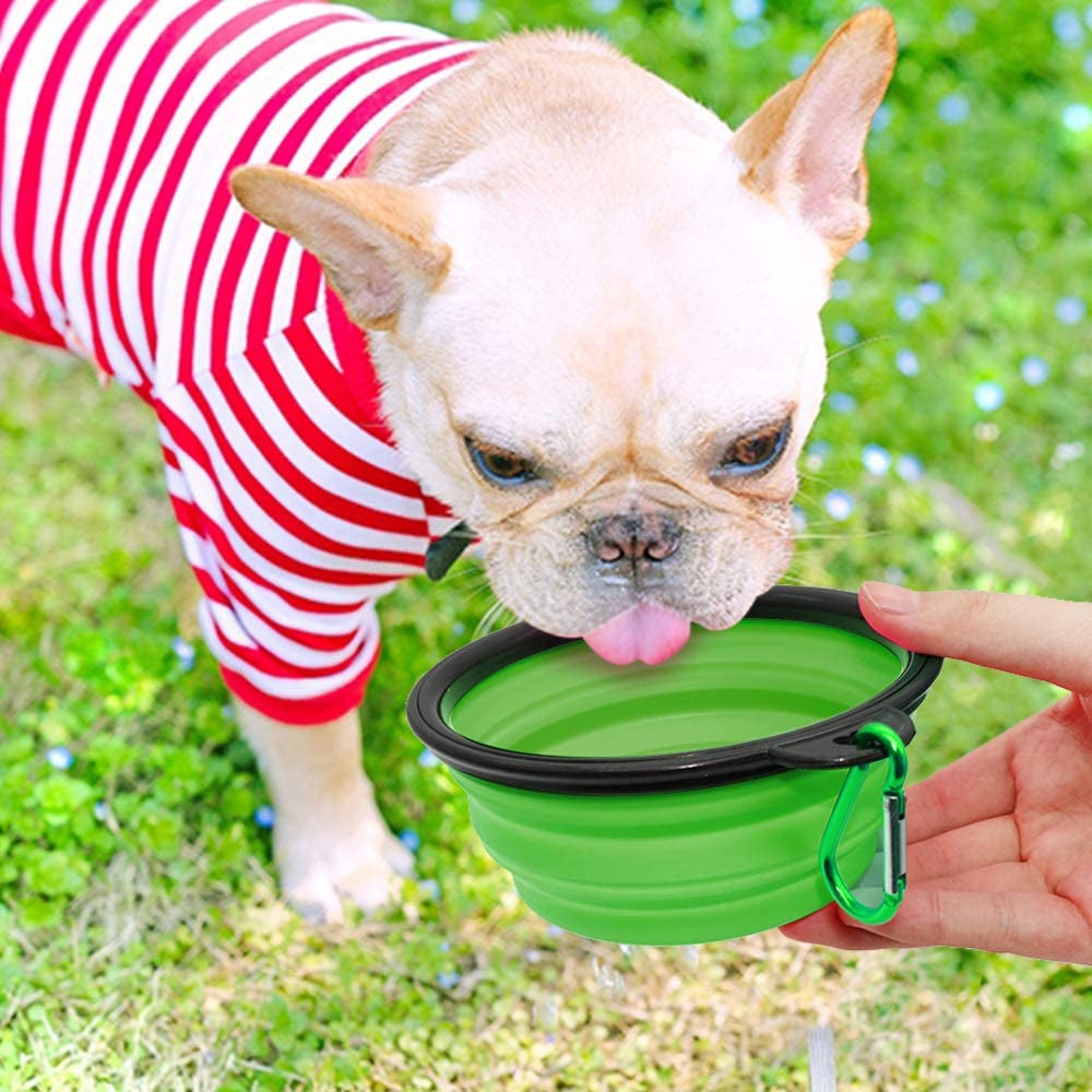 Collapsible Pet Bowls for Dogs and Cats, 2-Pack Portable Feeding and Watering Dishes with Carabiners (Small, Blue and Green)